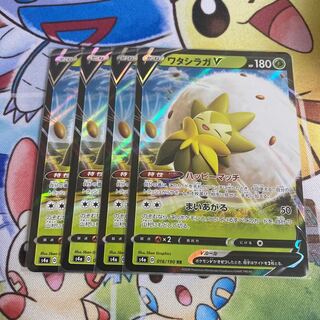 ワタシラガV 4枚