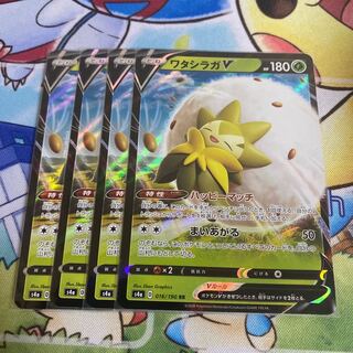 ワタシラガV 4枚