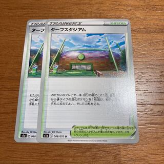 ターフスタジアム2枚