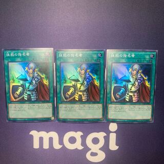 抹殺の指名者　ハーピィの羽根箒　セット品