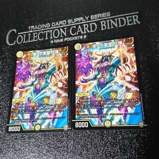 煌メク聖壁 灰瞳