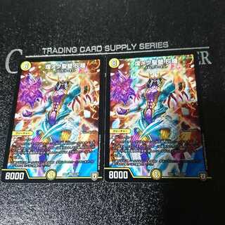 煌メク聖壁 灰瞳