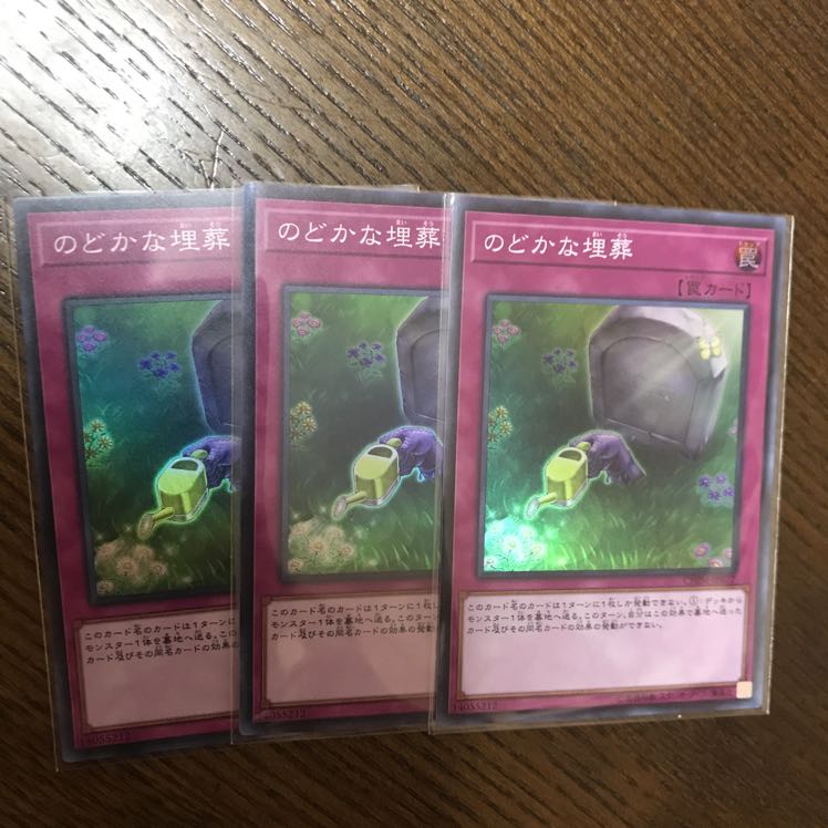 のどかな埋葬 3枚 3枚