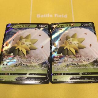 ワタシラガ RR 2枚セット