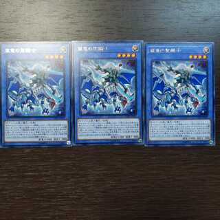 嵐竜の聖騎士 レア