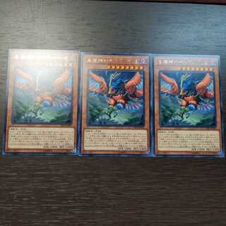 未界域のサンダーバード レア