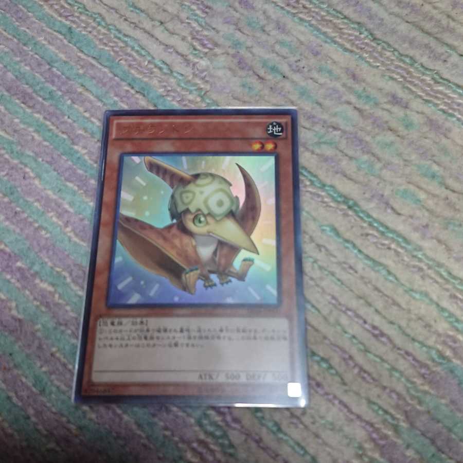 プチラノドン ウルトラレア