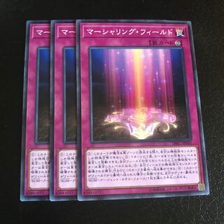 マーシャリング・フィールド ノーマル