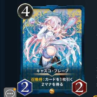 ２枚セット キャスコフレープ