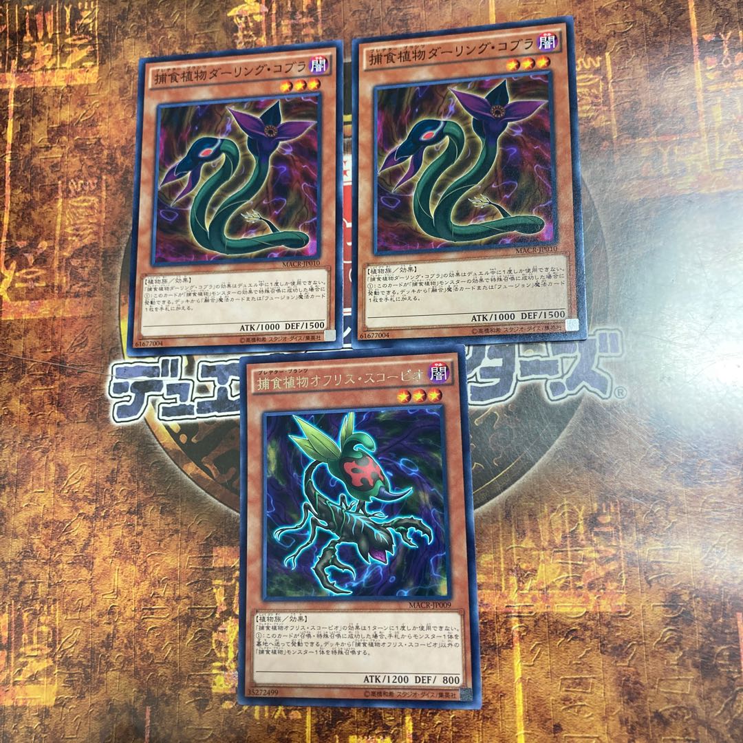 遊戯王★捕食植物オフリス・スコーピオ、ダーリング・コブラ★三枚セット★