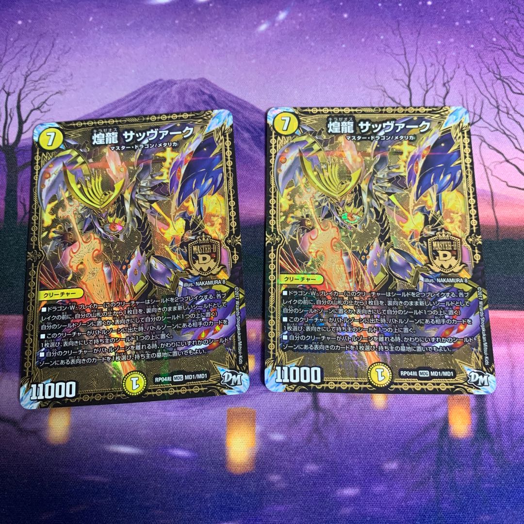 煌龍 サッヴァーク 2枚