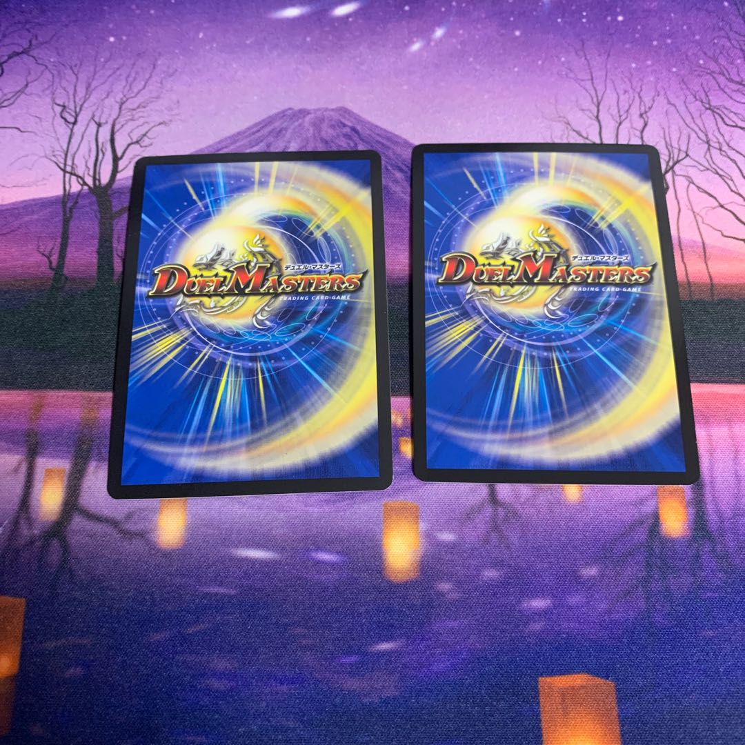 煌龍 サッヴァーク 2枚