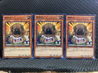 【ぽぽたん】遊戯王 3541 横綱犬 3枚 ノーマル
