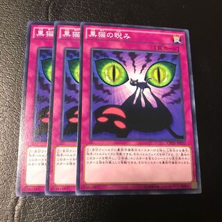 黒猫の睨み ノーマル