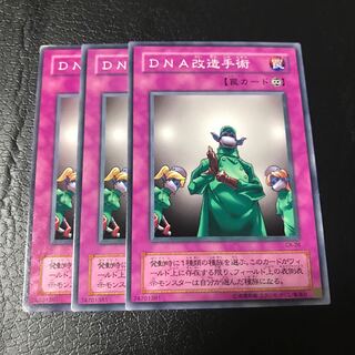 DNA改造手術 ノーマル