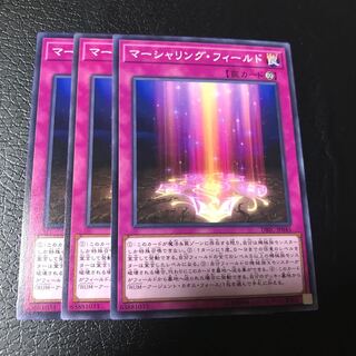 マーシャリング・フィールド ノーマル