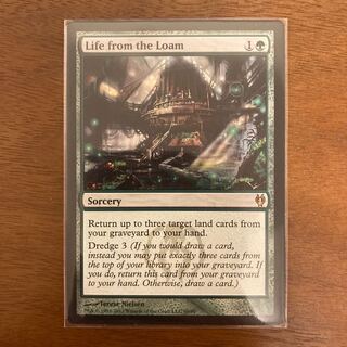 壌土からの生命 レア