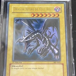 スペイン版　真紅眼の黒竜