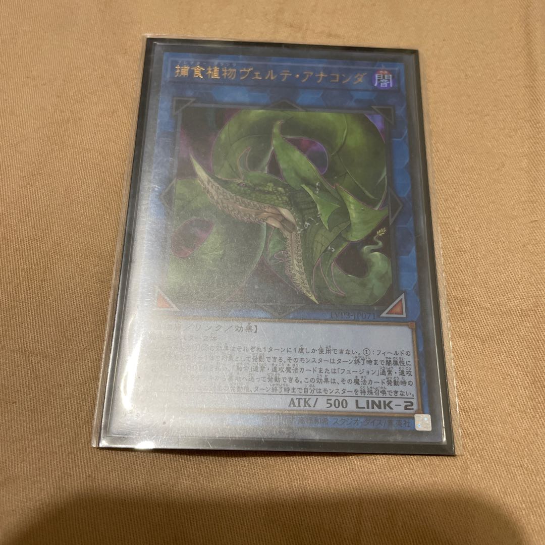 捕食植物ヴェルテ・アナコンダ ウルトラレア