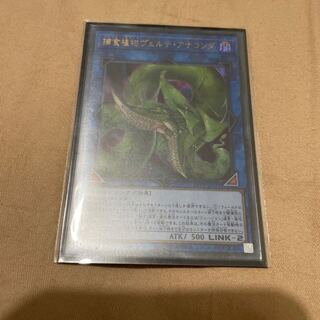 捕食植物ヴェルテ・アナコンダ ウルトラレア