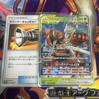 かどちゃ様専用 カウンターキャッチャー フェローチェ＆マッシブーンGX