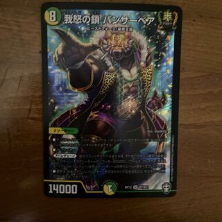 我怒の鎖 パンサーベア