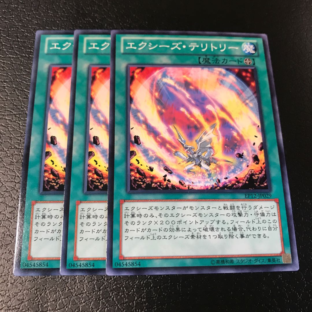 エクシーズ・テリトリー ノーマル