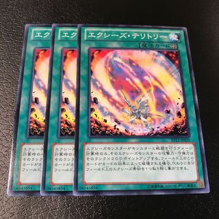 エクシーズ・テリトリー ノーマル