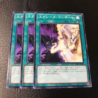 エクシーズ・インポート ノーマル