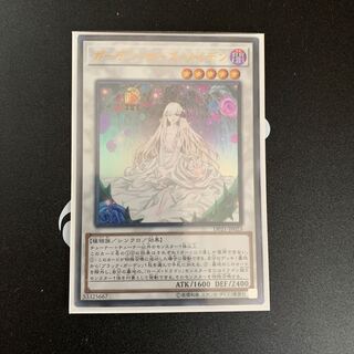 ガーデン・ローズ・メイデン