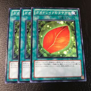 ガオドレイクのタテガミ ノーマル