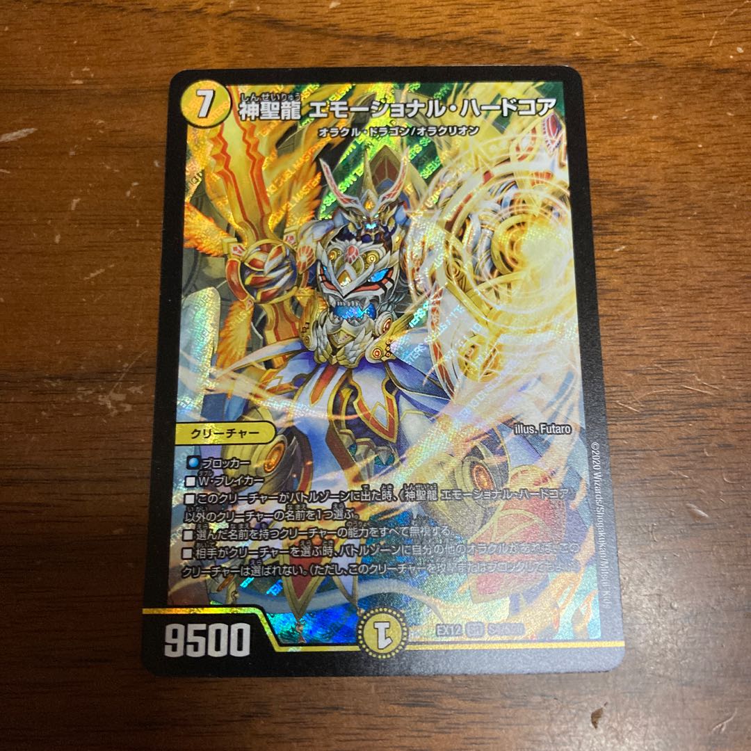 神聖龍 エモーショナル・ハードコア SR