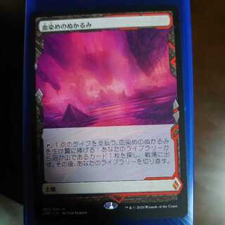 血染めのぬかるみ