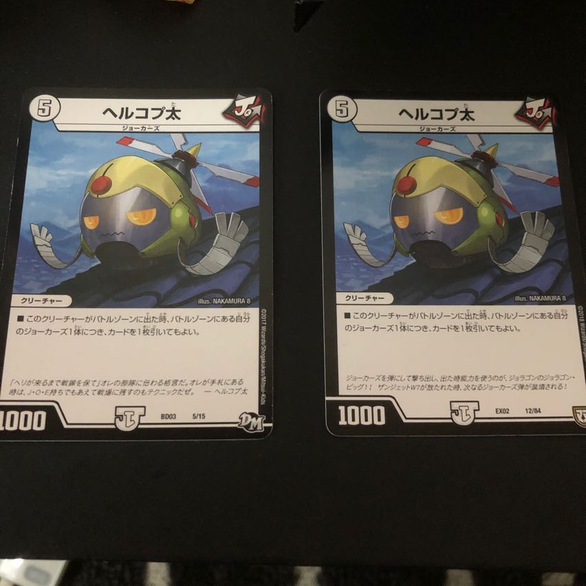 Hercoptotus oxycephalus (species of hogfish)