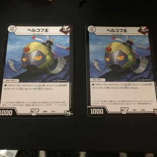 Hercoptotus oxycephalus (species of hogfish)