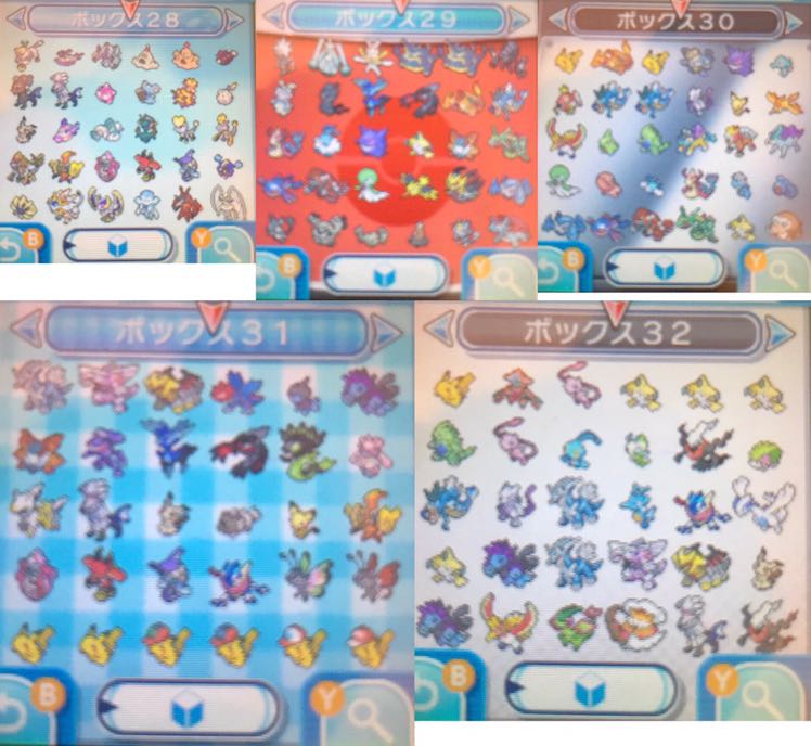 ポケットモンスター サン 乱数産正規!図鑑コンプリート!配布多数! 1枚