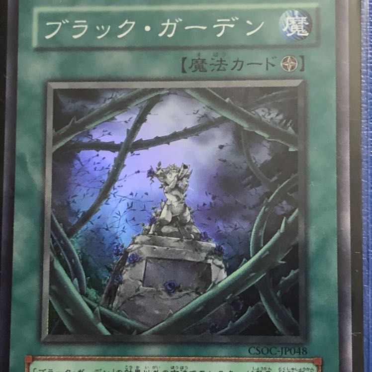 ガーデン・ローズ・メイデン 3枚セット