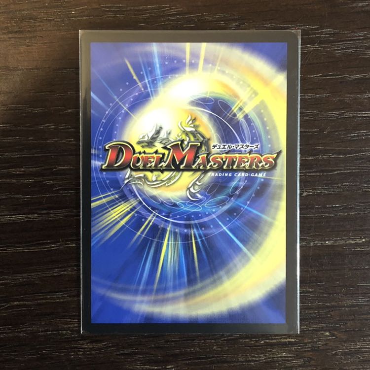 龍世界 -龍の降臨する地- VR