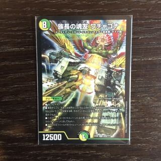 族長の魂友 ワチャゴナ SR