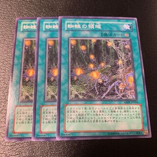 蜘蛛の領域 ノーマル