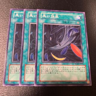 Black Whirlwind Normal