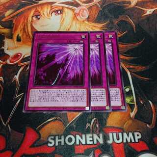 影依の偽典 レア