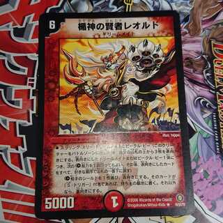 楯神の賢者レオルド