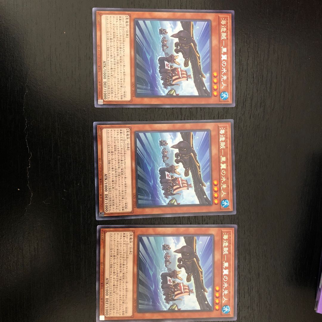 【商品説明必読】海造賊ー黒翼の水先人　3枚