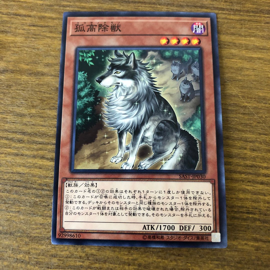 孤高除獣 ノーマルレア