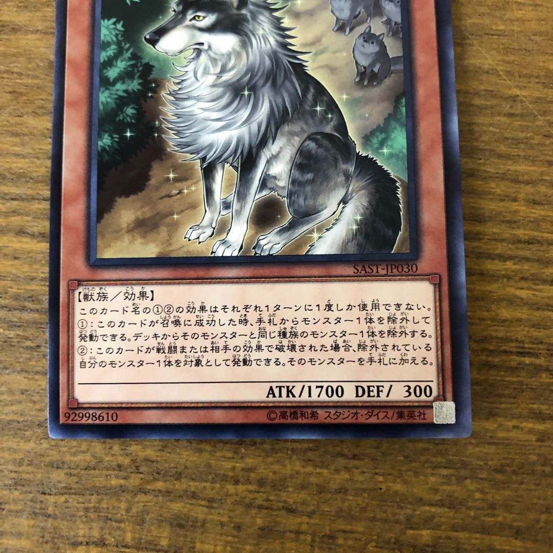 孤高除獣 ノーマルレア