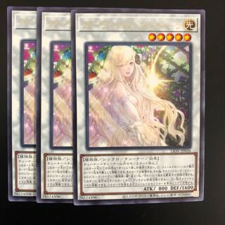 ガーデン・ローズ・フローラ　３枚