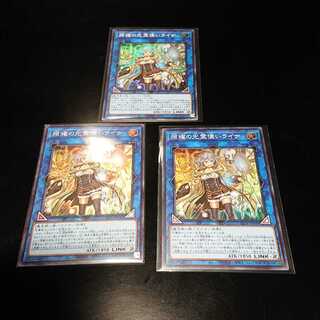 照耀の光霊使いライナ スーパー