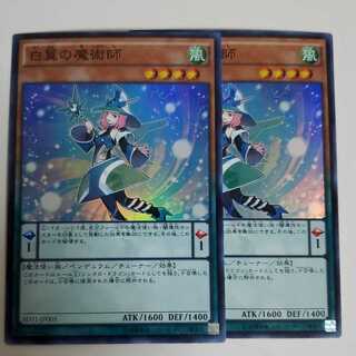 白翼の魔術師　2枚