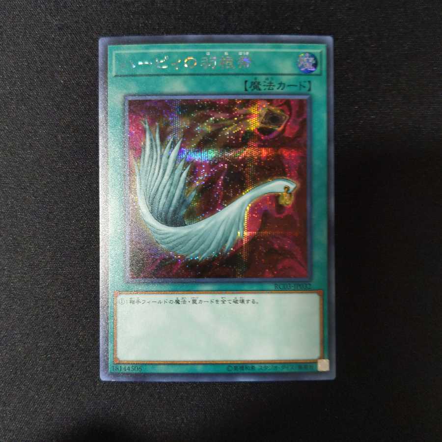 ハーピィの羽根帚 《シークレットレア》